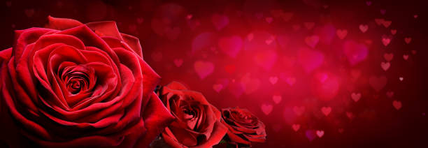 istock Red Roses In Heart Shape With Red Passion Background 1084848396