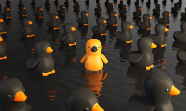 Standing out from the crowd concept with an orange colored rubber duck between the black ones on the water. ( 3d render )