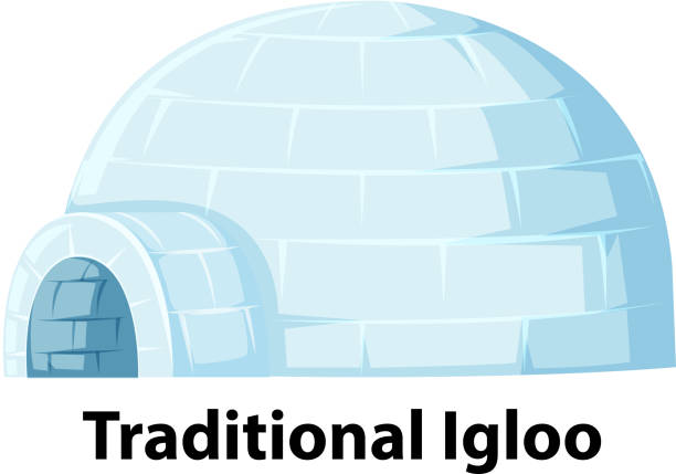 illustrazioni stock, clip art, cartoni animati e icone di tendenza di un igloo tradizionale su sfondo bianco - igloo