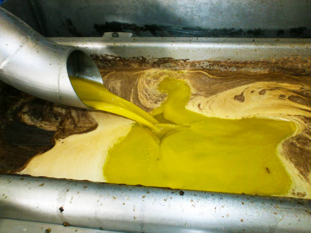istock Making oil Extra virgin olive oil 1084872756