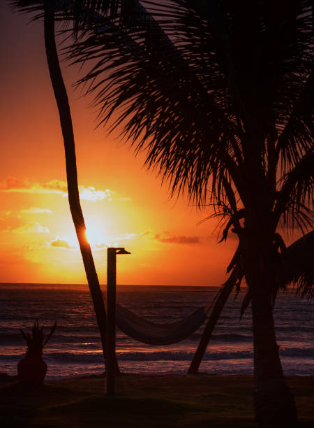 istock Sunrise in Porto de Galinhas beach 1084881102