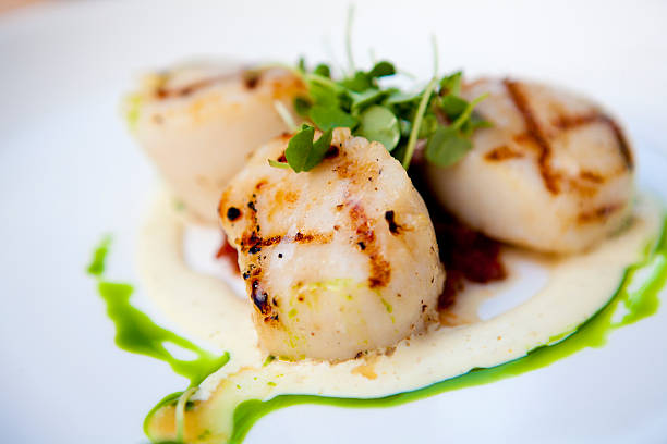 Scallops, Grilled stock photo