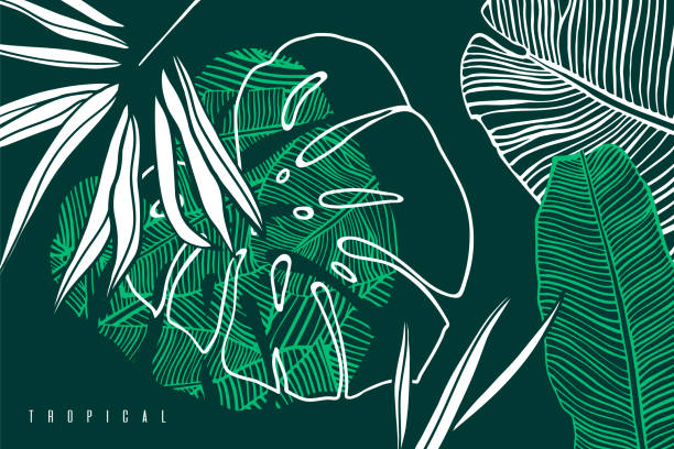 tropikalny wzór z liśćmi palmy, bananem i liśćmi potwora. ręcznie rysowane liście tropowe. egzotyczne zielone tło. - las deszczowy ilustracje stock illustrations