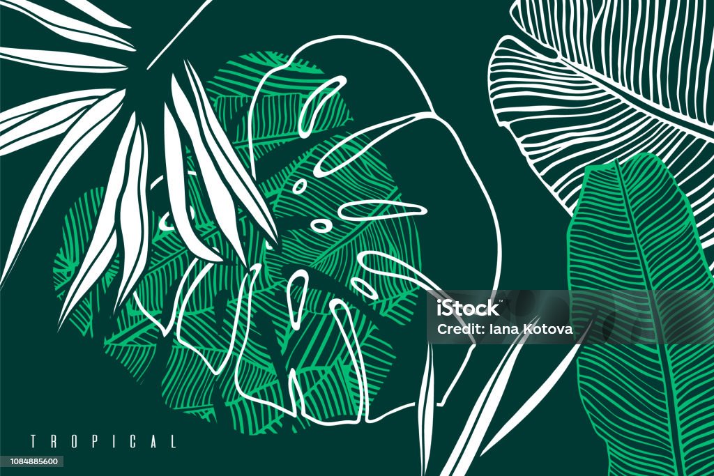 Tropical pattern with palm tree leaf, banana  and monstera leaves. Hand drawn tropic foliage. Exotic green background. Leaf stock vector