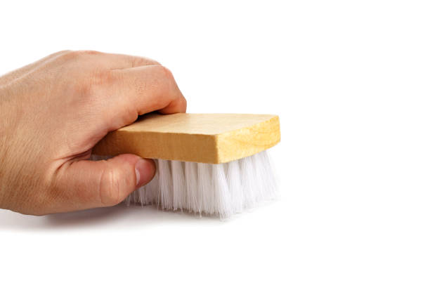 Closeup of shoe brush