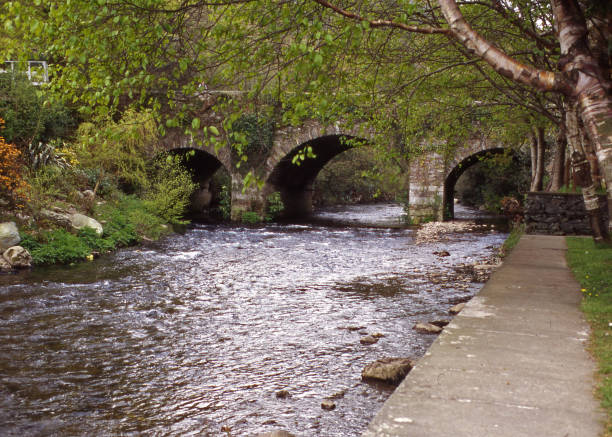 istock rural Irish countryside 1084912808