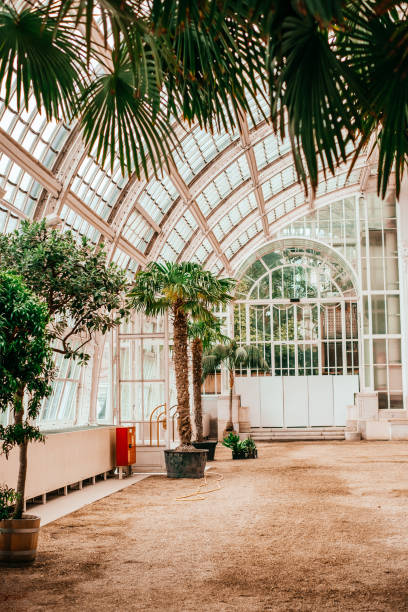 Botany and travel photography.