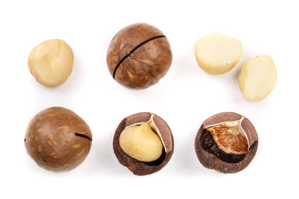 istock Shelled and unshelled macadamia nuts isolated on white background. Top view. Flat lay pattern 1084923520