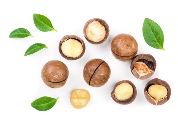 istock Shelled and unshelled macadamia nuts with leaves isolated on white background. Top view. Flat lay pattern 1084923528