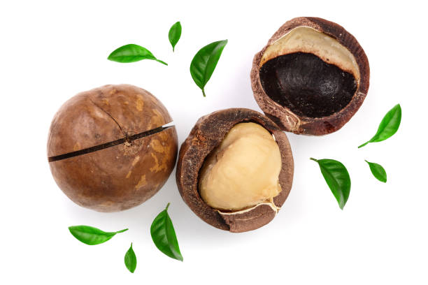 istock Shelled and unshelled macadamia nuts isolated on white background. Top view. Flat lay pattern 1084923532