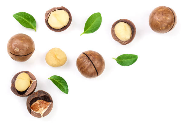 istock Shelled and unshelled macadamia nuts with leaves isolated on white background with copy space for your text. Top view. Flat lay pattern 1084923546