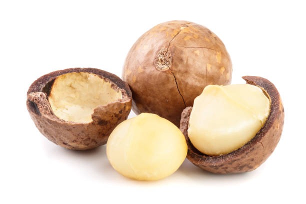 istock Shelled and unshelled macadamia nuts isolated on white background 1084923554