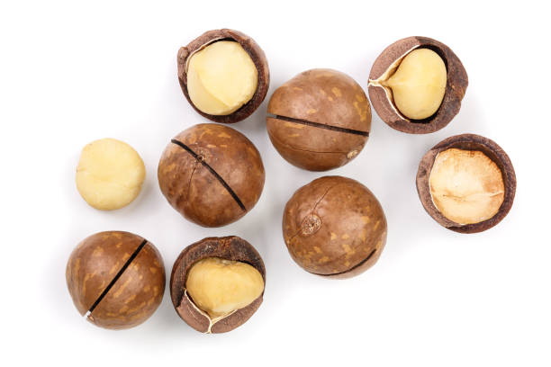 istock Shelled and unshelled macadamia nuts isolated on white background. Top view. Flat lay pattern 1084923556
