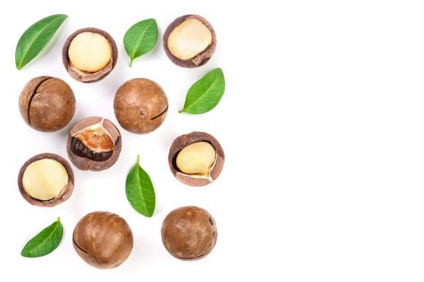istock Shelled and unshelled macadamia nuts with leaves isolated on white background with copy space for your text. Top view. Flat lay pattern 1084923564