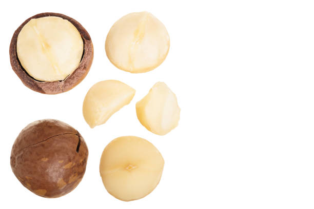 Shelled and unshelled macadamia nuts isolated on white background with copy space for your text. Top view. Flat lay pattern.