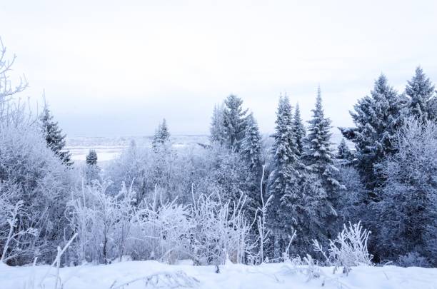 istock Winter in the park by the river. 1084931412