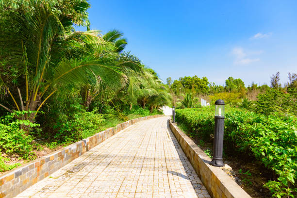 istock paradise resort road promenade 1084932052