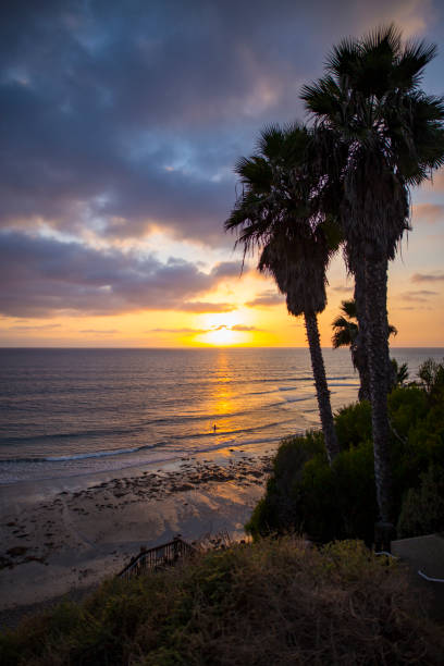 istock Overlooking Beach and Palm Trees at Sunset 1084941338