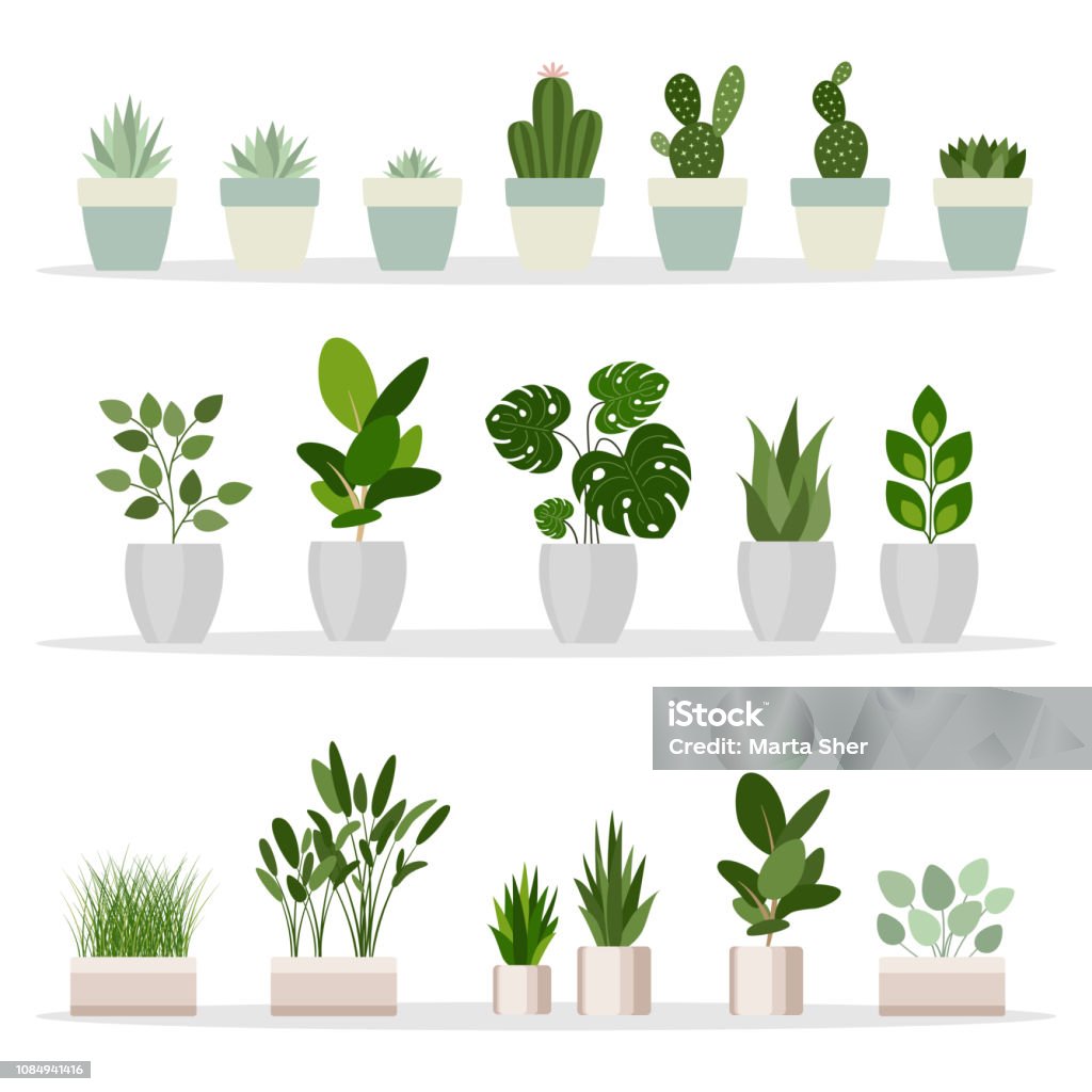 Ilustración de Conjunto De Plantas De Interior Decorativas Plantas Y Flores Hechas En Casa Naturaleza En Maceta Decoración Interior En Estilo De Dibujos Animados Plana Ilustración De Vector y más Vectores Libres Ilustración de Conjunto De Plantas De Interior Decorativas Plantas Y Flores Hechas En Casa Naturaleza En Maceta Decoración Interior En Estilo De Dibujos Animados Plana Ilustración De Vector y más Vectores Libres