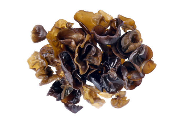 istock black fungus on white background 1084948672