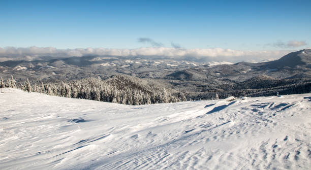 istock winter mountains with snowy forest, view from top of mountain 1084949054
