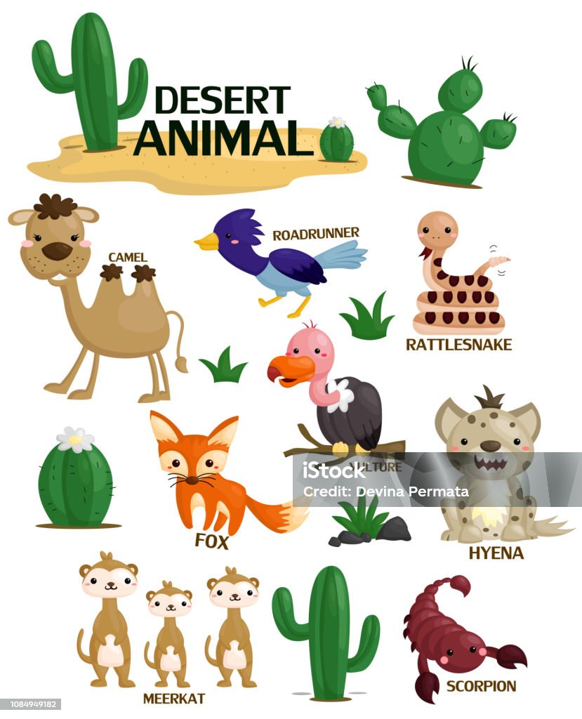Desert Animal Image Set Stock Illustration - Download Image Now - Roadrunner - Bird, Scorpion, Animal - iStock Desert Animal Image Set Stock Illustration - Download Image Now - Roadrunner - Bird, Scorpion, Animal - iStock