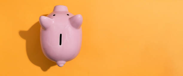 istock A piggy bank 1084949314