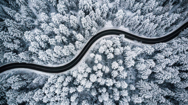 vent la route sinueuse dans la neige couvert de forêt, top-down vue aérienne - arbre photos photos et images de collection