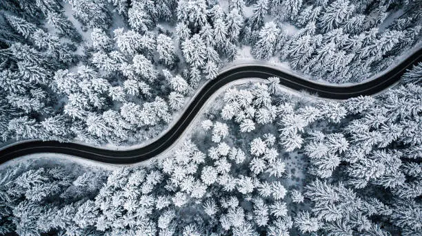 Photo of Curvy windy road in snow covered forest, top down aerial view