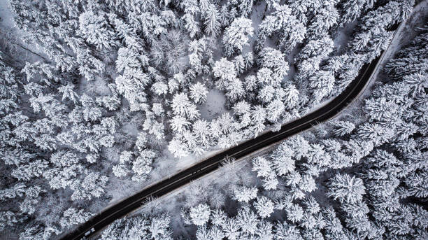istock Car drive  trough winter forest,aerial view 1084949800