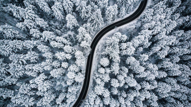 kurvige straßenlinie in winterlandschaft, luftbild - drivers point of view country road snowing blizzard stock-fotos und bilder