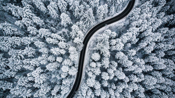 istock Curvy road line in winter scenery, aerial view 1084949906
