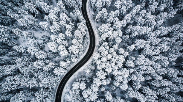 kręta wietrzna droga w pokrytym śniegiem lesie, widok z lotu ptaka z góry na dół - drivers point of view country road snowing blizzard zdjęcia i obrazy z banku zdjęć