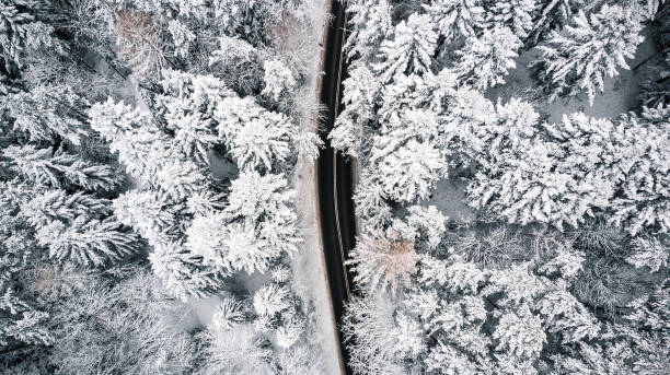 istock Curvy road line in winter scenery, aerial view 1084952278
