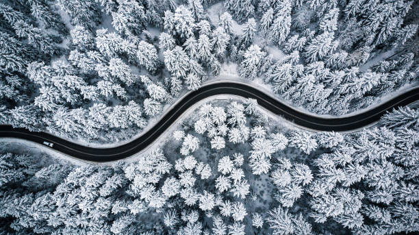 Driving in forest after snowfall, aerial drone view stock photo