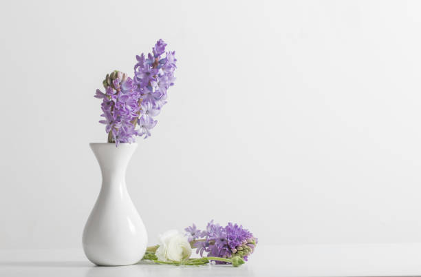istock hyacinth in vase on white background 1084970274