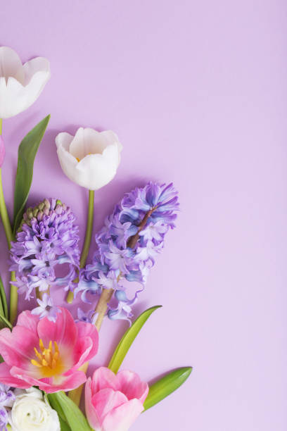 istock beautiful flowers on paper background 1084970280