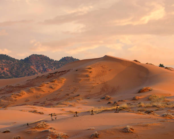 Beautiful Coral Pink Sand Dunes, Utah at Sunset