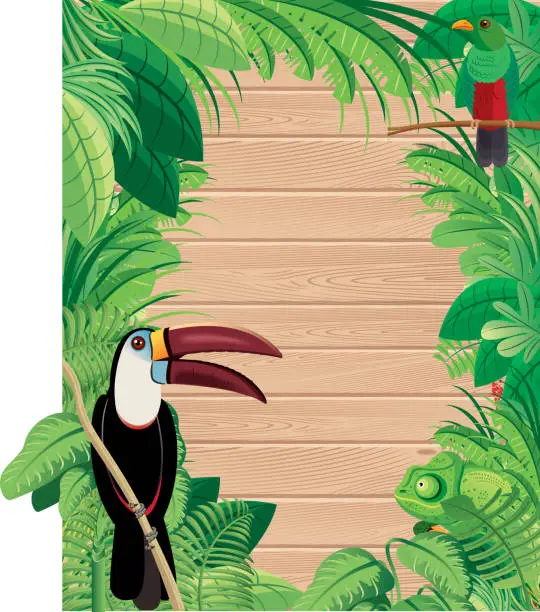 Vector illustration of Wooden background and Toucan