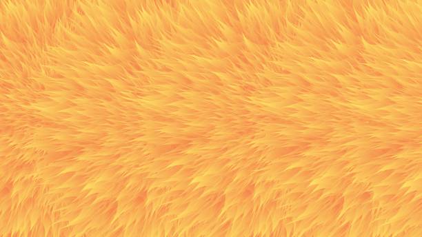 Colorful patterns. Orange synthetic fur, vector texture, furry abstract background. Colorful patterns. Orange synthetic fur, vector texture, furry abstract background. fur stock illustrations