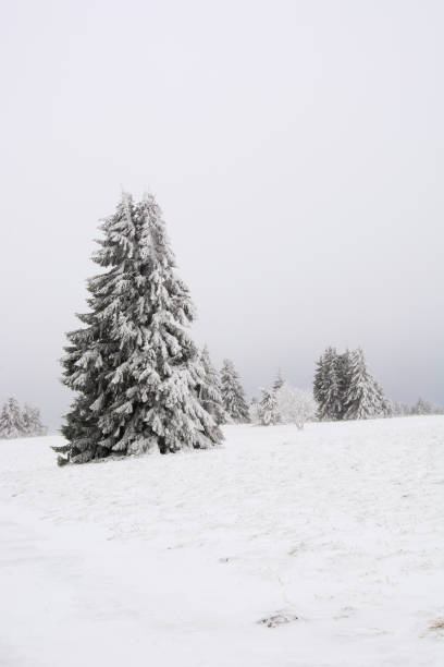 istock A winter landscape in Bavaria, Germany 1084979092
