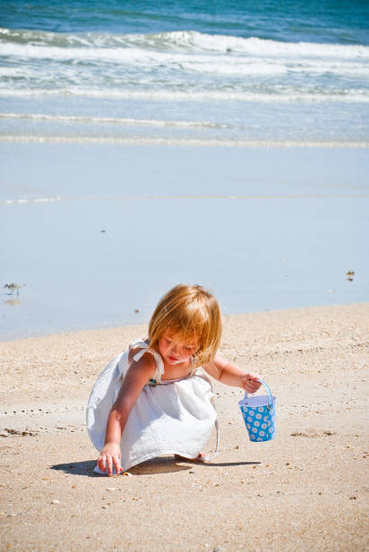 A young girl collects seashells at the beach in her bucket, with the Atlantic ocean in the back ground.