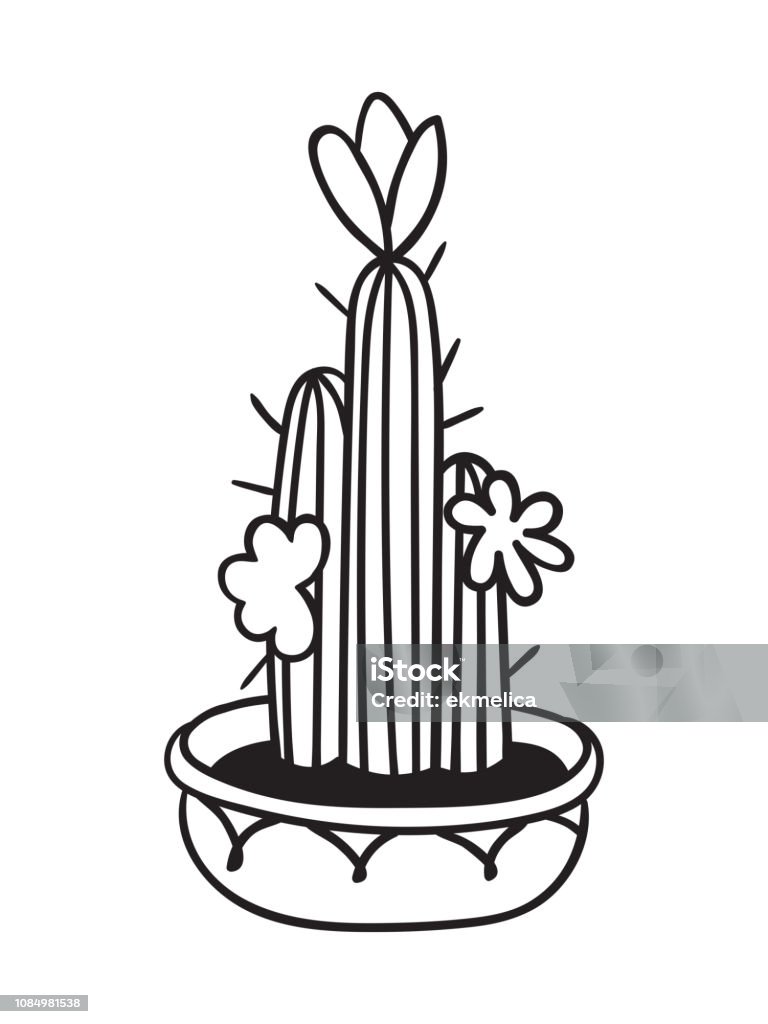 Ilustración de Cactus Para Colorear Libros Ilustración De Vector y más Vectores Libres de Derechos de Botánica - iStock Ilustración de Cactus Para Colorear Libros Ilustración De Vector y más Vectores Libres de Derechos de Botánica - iStock