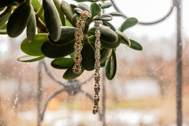 boucles d��’oreilles et colliers, bijoux pour les filles. la vue à l’extérieur de la fenêtre, une plante verte. mode et style dans les tons de gris. - 3518 photos et images de collection