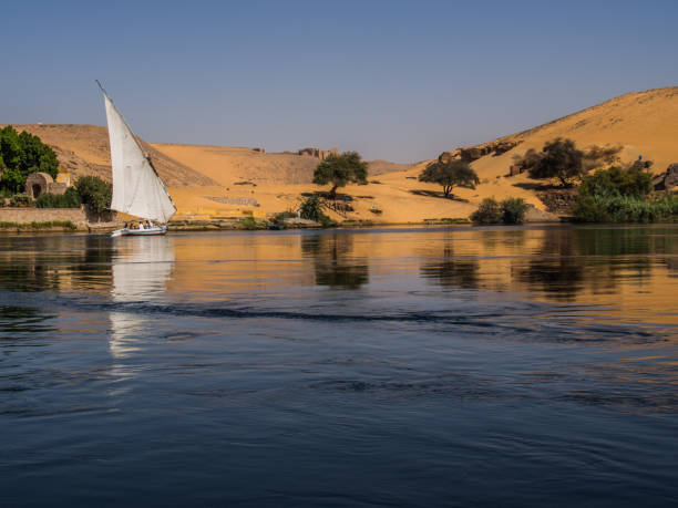 istock Boats in the Nile River 1084982026