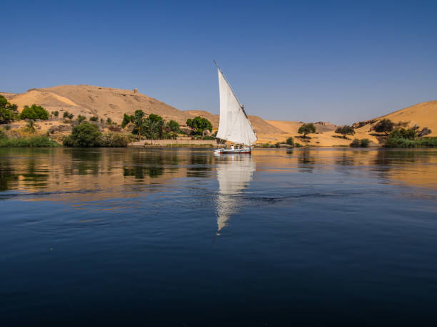 istock Boats in the Nile River 1084982034