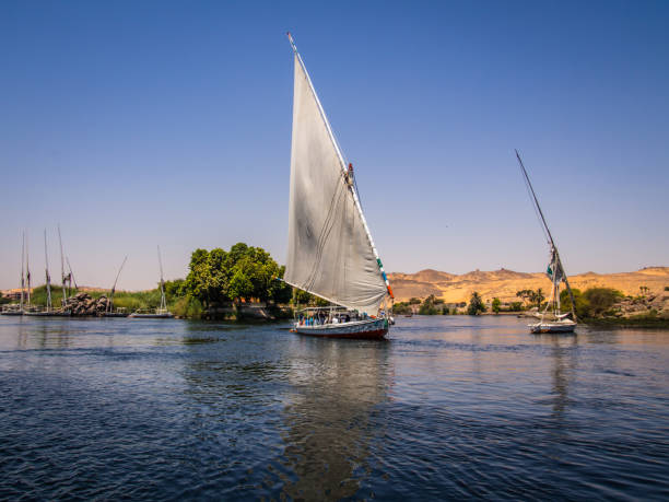 istock Boats in the Nile River 1084984852