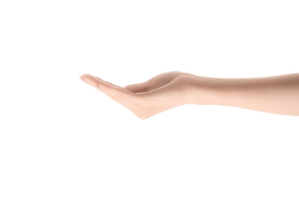 istock partial view of woman with empty hand asking for something isolated on white 1084988472