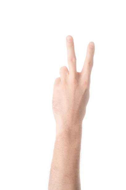 istock partial view of man showing number 2 in sign language isolated on white 1084991024