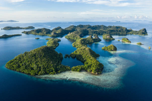 Aerial View of Incredible Rock Islands in Raja Ampat Remote limestone islands in Raja Ampat, Indonesia, are surrounded by healthy coral reefs. This biodiverse region is known as the "heart of the Coral Triangle" due to its amazing marine life. marine reserve photos stock pictures, royalty-free photos & images
